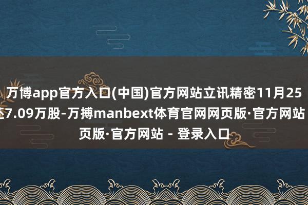 万博app官方入口(中国)官方网站立讯精密11月25日融券偿还7.09万股-万搏manbext体育官网网页版·官方网站 - 登录入口