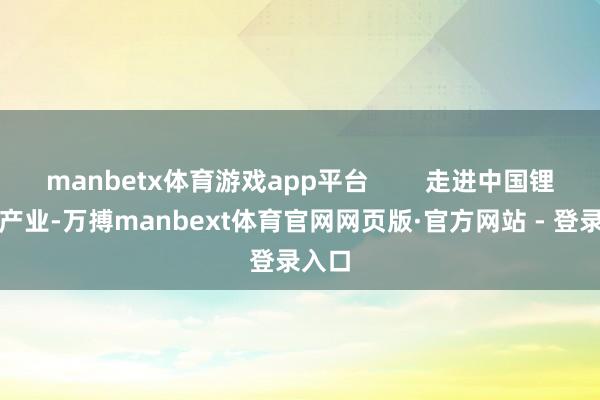 manbetx体育游戏app平台 走进中国锂电板产业-万搏manbext体育官网网页版·官方网站 - 登录入口