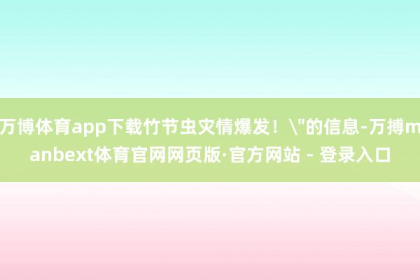 万博体育app下载竹节虫灾情爆发!