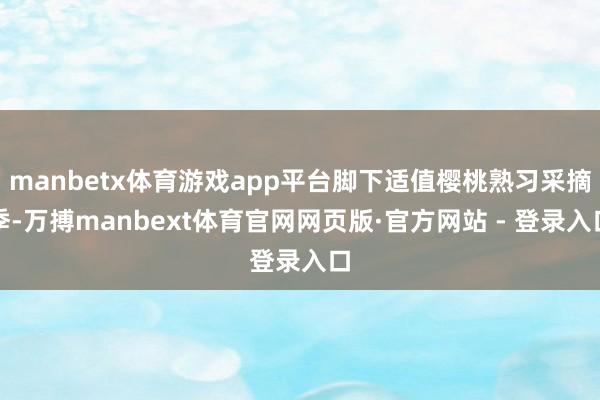manbetx体育游戏app平台脚下适值樱桃熟习采摘季-万搏manbext体育官网网页版·官方网站 - 登录入口
