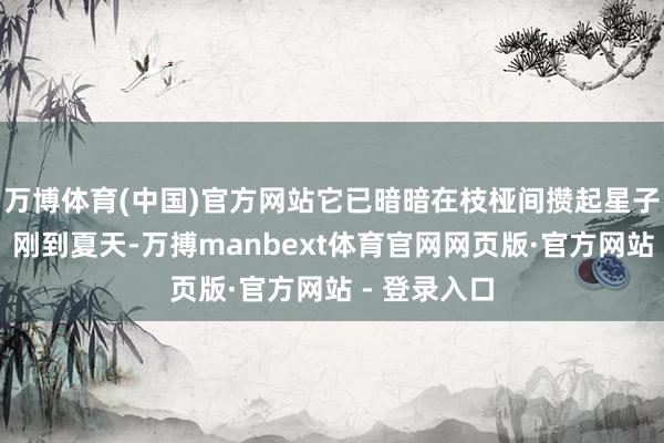 万博体育(中国)官方网站它已暗暗在枝桠间攒起星子般的花苞；刚到夏天-万搏manbext体育官网网页版·官方网站 - 登录入口