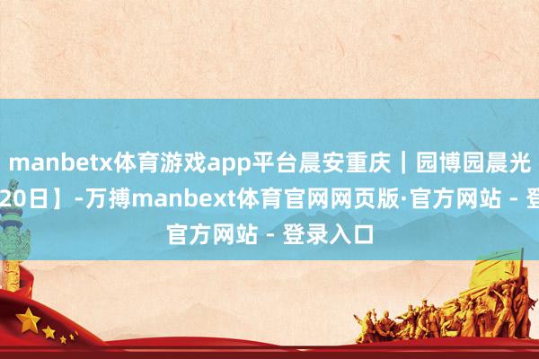 manbetx体育游戏app平台晨安重庆｜园博园晨光【12月20日】-万搏manbext体育官网网页版·官方网站 - 登录入口